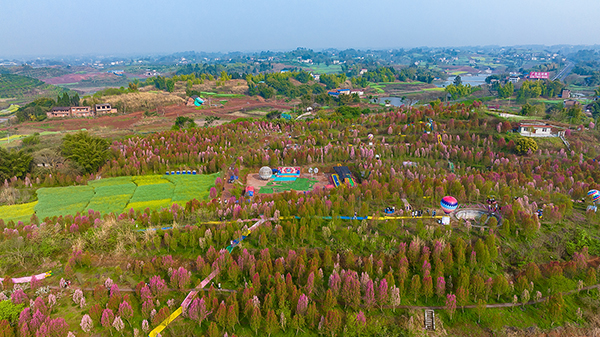 自贡富顺：农旅融合助发展 打造休闲娱乐后花园_fororder_1板桥镇千秋村桃花园（摄影-廖志全）