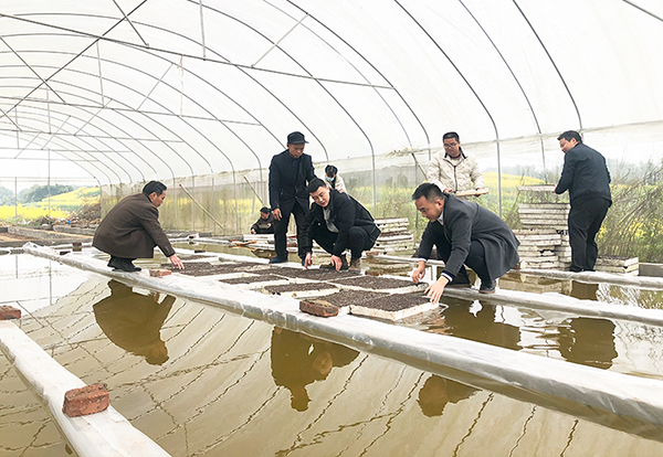 自贡富顺：做好两项改革“后半篇”文章 守牢粮食安全底线_fororder_漂浮育苗
