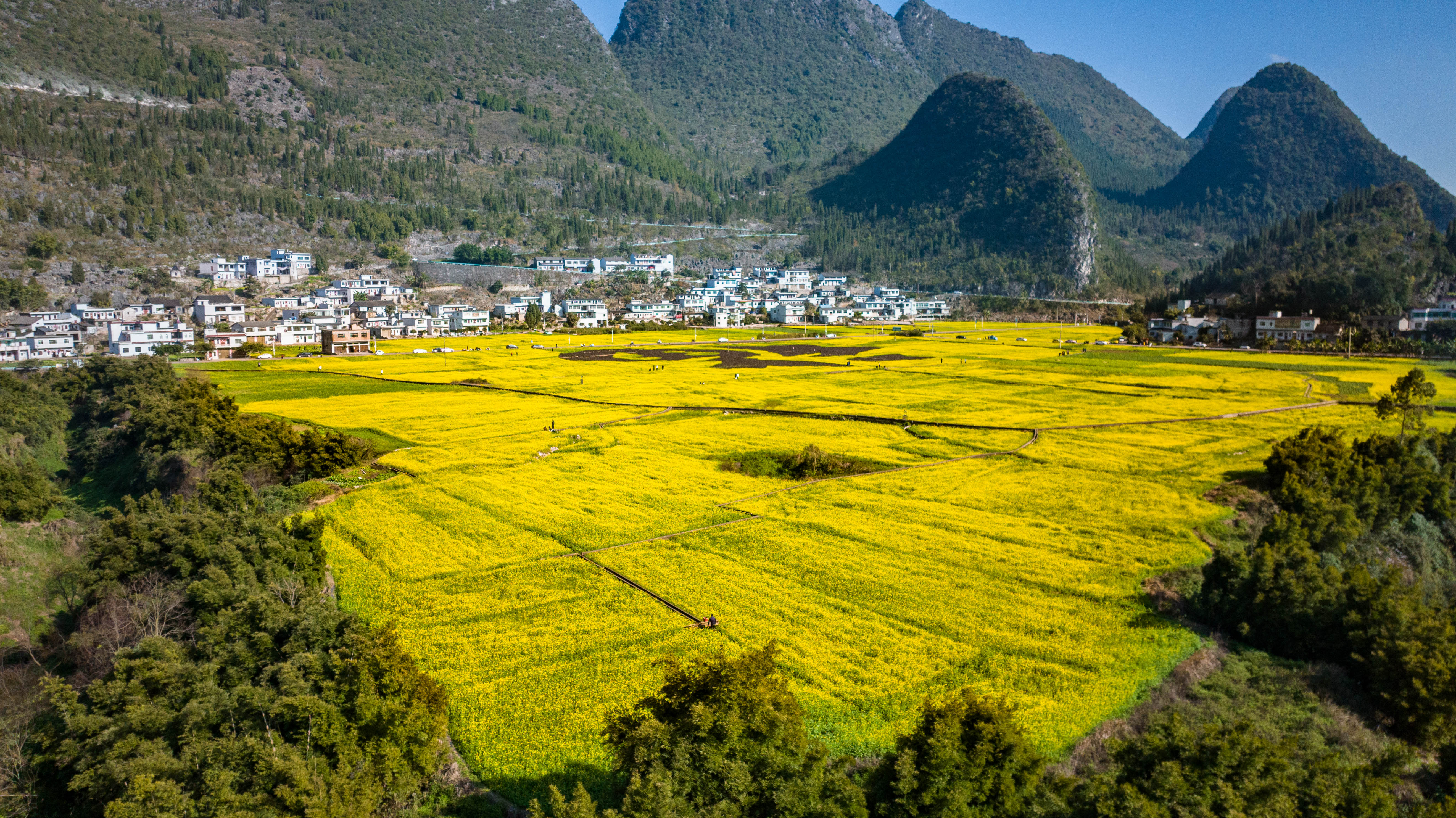 （中首）兴义万峰林：春来花好正当游