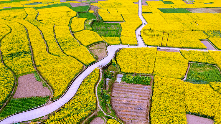 图片默认标题_fororder_DJI_0838