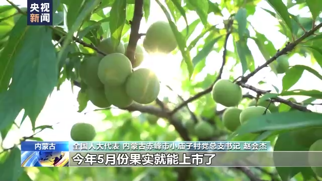 内蒙古小庙子村：山乡巨变展新颜 走上幸福小康路
