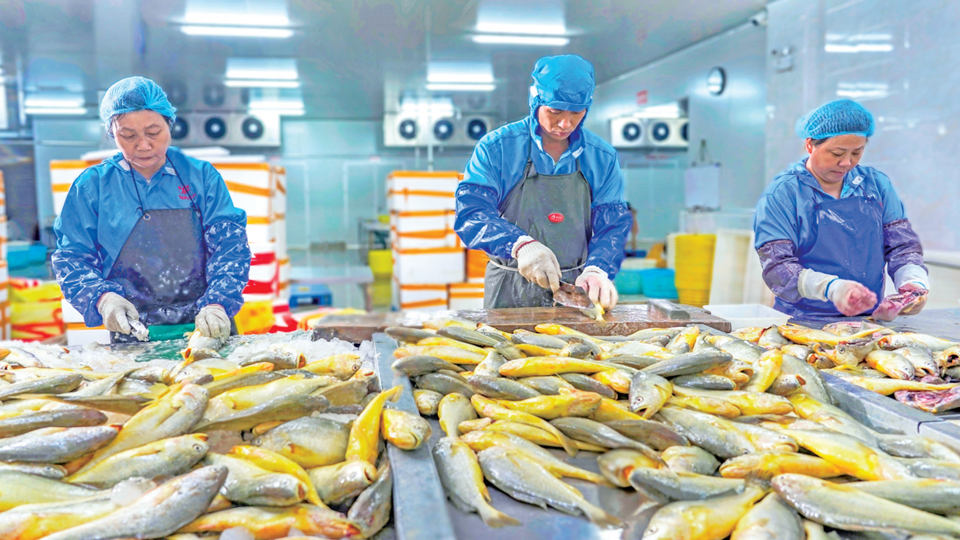 宁德渔业加快形成产业化生产规模 龙头企业持续增产增效_fororder_微信截图_20220311082848