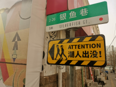 青岛市南区银鱼巷：看老里院如何迎来新生