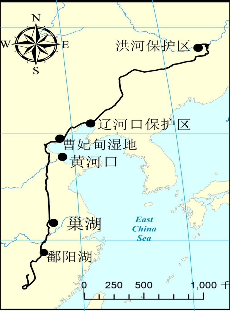 探寻候鸟与龙江的“不解之缘”
