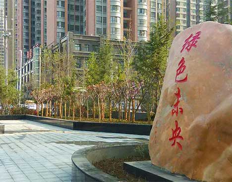 活动