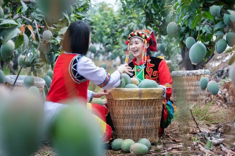 （转载）中国城市环境舒适度PK 攀枝花跻身全国前十