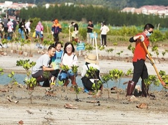 海南省志愿者开展义务植树活动