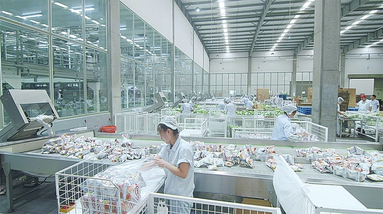 济南：区县点燃发展火种，强省会战略强势开局