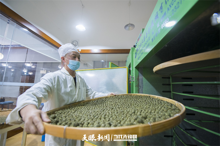 一盏贵州生态好茶的“沸腾”之旅