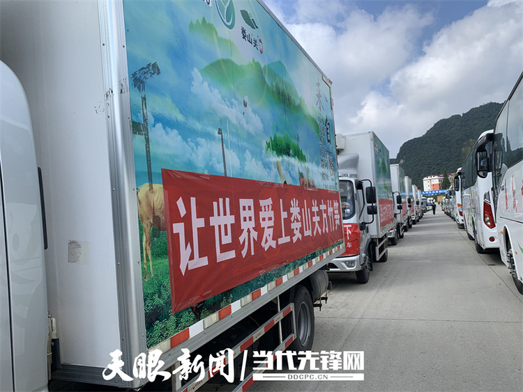 贵州方竹笋翻山越岭，落进广东的“老火靓汤”里