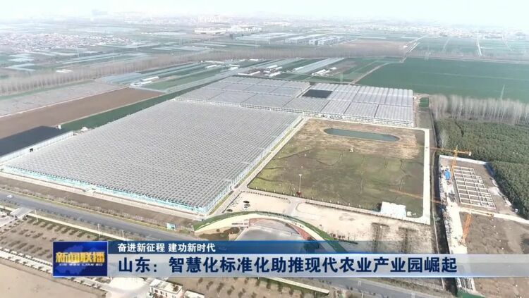 山东：智慧化标准化助推现代农业产业园崛起