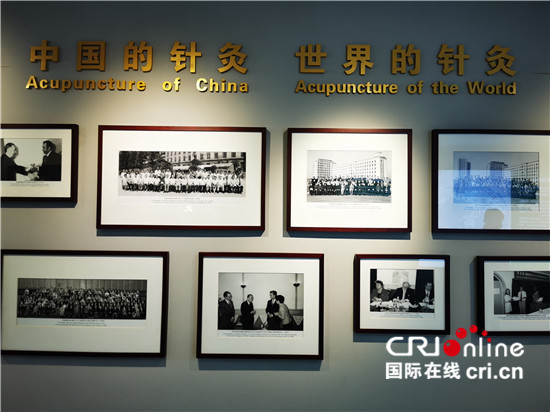 （遇见中国）我在中国学针灸——马来西亚青年与中医结缘的故事_fororder_2