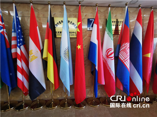（遇见中国）我在中国学针灸——马来西亚青年与中医结缘的故事_fororder_3