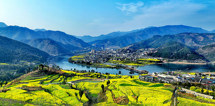 Guangyuan, Sichuan: Rapeseed Blossoms Show Beauty of the Countryside_fororder_图片1