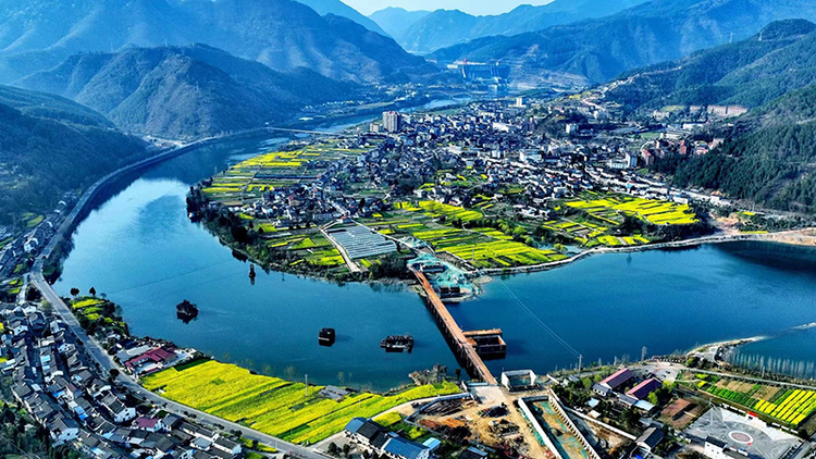 Guangyuan, Sichuan: Rapeseed Blossoms Show Beauty of the Countryside_fororder_图片0