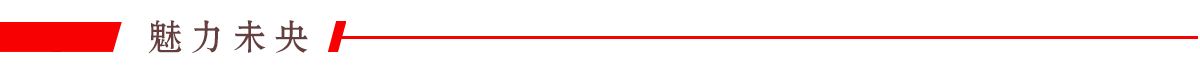 魅力未央banner_fororder_04魅力未央