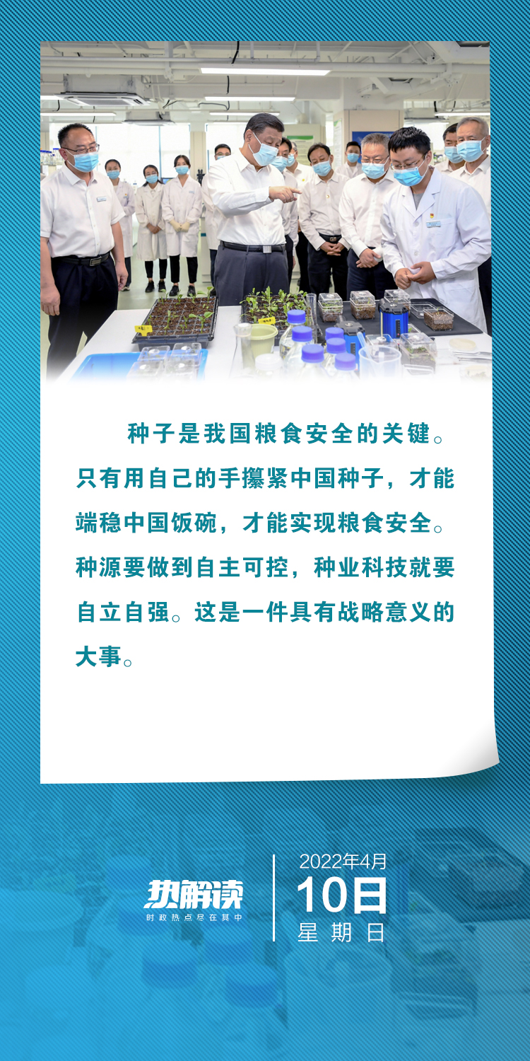 热解读 | 如何让小种子迸发大能量？牢记总书记这八个字