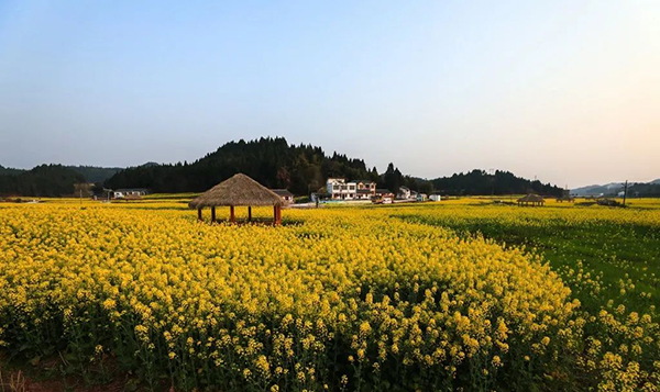 【与春天撞个满怀 打卡最美春景】遂宁：船山永和家园花正浓 品诗意乡村正当时_fororder_微信图片_20220322133338