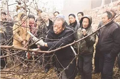李保国：给苹果穿衣 让果农增收