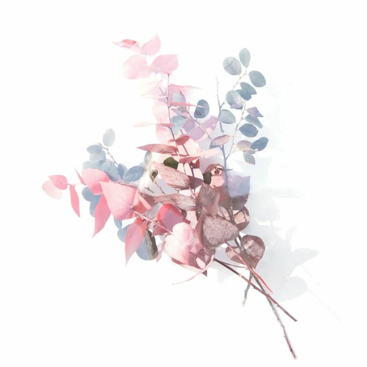 强国复兴有我——巧剪传承家风