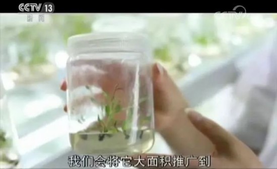 库布其治沙三十年：市场化打造绿色沙漠