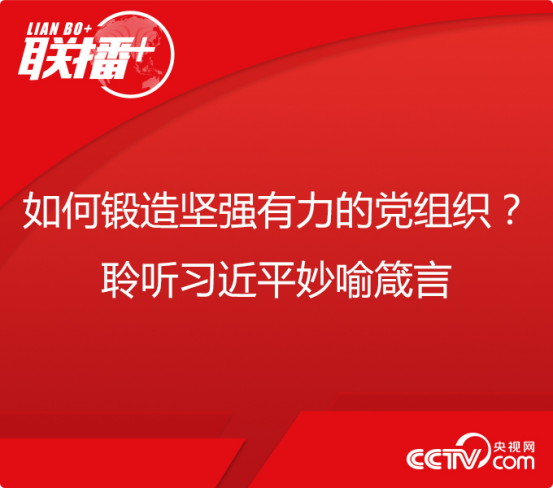 联播+丨如何锻造坚强有力的党组织？聆听习近平妙喻箴言