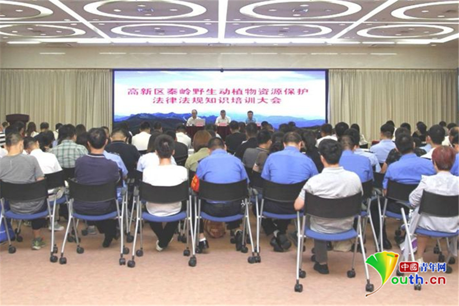 西安高新区260余人现场学法 共同推进专项行动再上新台阶