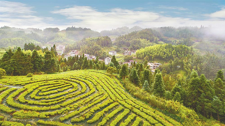 福建三明：一个小山村的“数字生活”_fororder_ee68c924-f843-4a21-9df0-9946d4fb7ebb