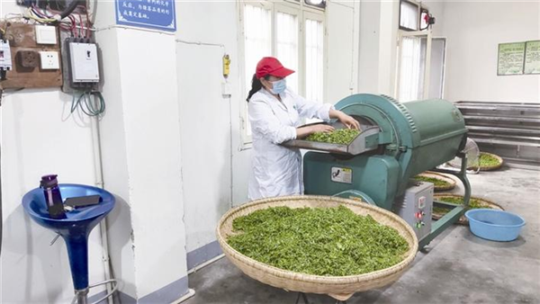 共饮“一杯茶” 同心谱“茶经” ——宜荆荆恩四地携手弘扬茶文化做大茶产业_fororder_02