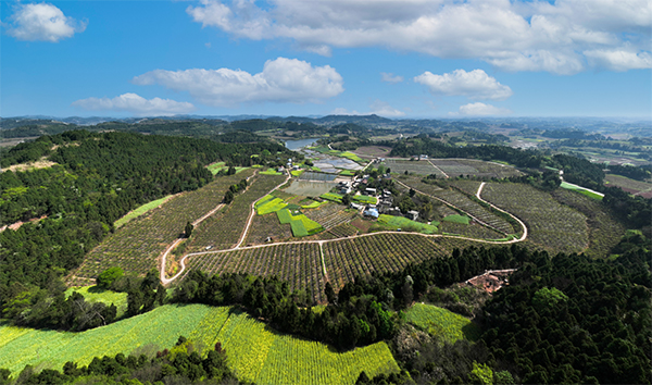 简阳市：植入新场景 推动农商文旅融合发展_fororder_简阳市禾丰镇连山村-摄影-杨曜