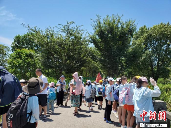 【十年@每一个奋斗的你】探访“中国扬子鳄村”：亿年“活化石”续写新篇章