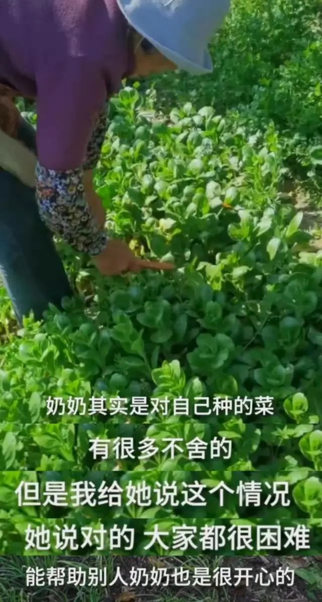 这些寻常人家的故事，让我们重新看到那个熟悉的上海