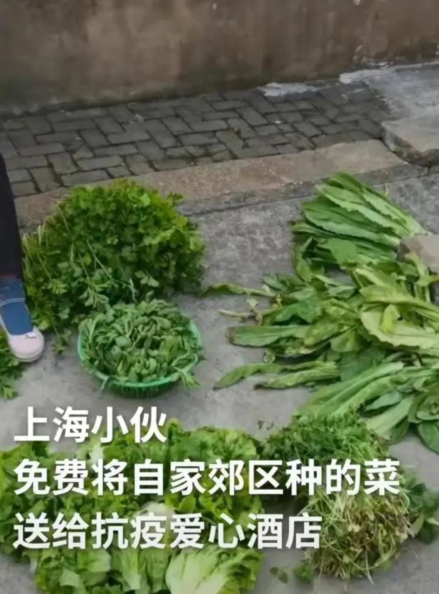 这些寻常人家的故事，让我们重新看到那个熟悉的上海