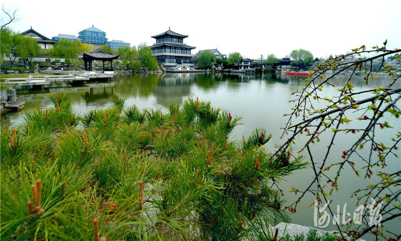 河北磁县：走进磁州水墨园