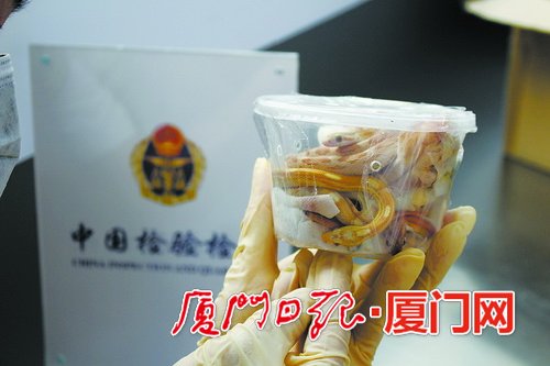 【法治 列表】【滚动新闻】【地市 厦门】种子和毒蛇藏身包裹闯关 入境邮件违禁物品大幅增加