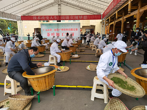 （唯一附链接）茶业强县助力乡村振兴 广元旺苍第十二届采茶节开幕_fororder_茶业技能竞赛现场