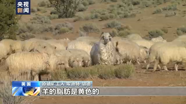 总台独家探访丨家园变试验场 美国“核阴影”下原住民的绝望与愤怒