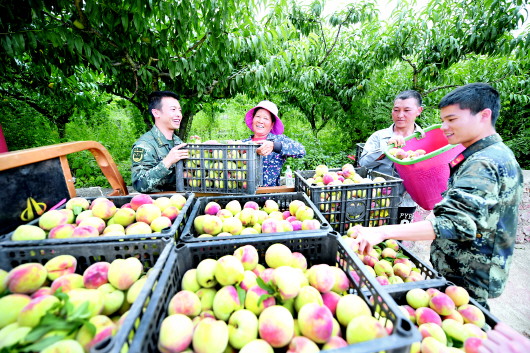（中首）贵州兴义：结对帮扶结硕果