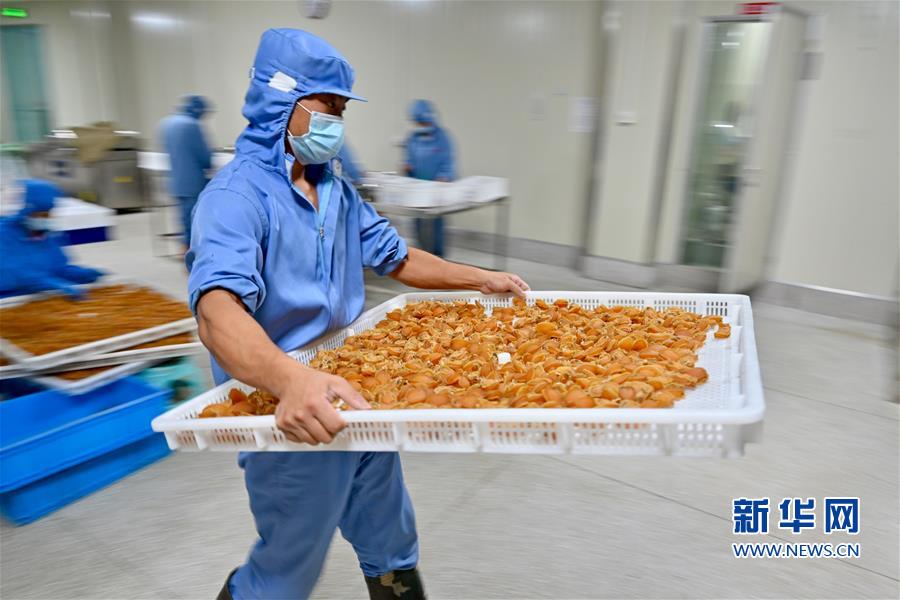 技术革新促“中国鲍鱼之乡”产业升级