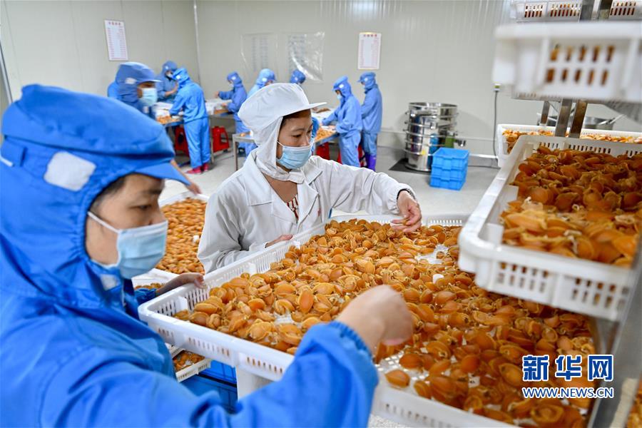 技术革新促“中国鲍鱼之乡”产业升级
