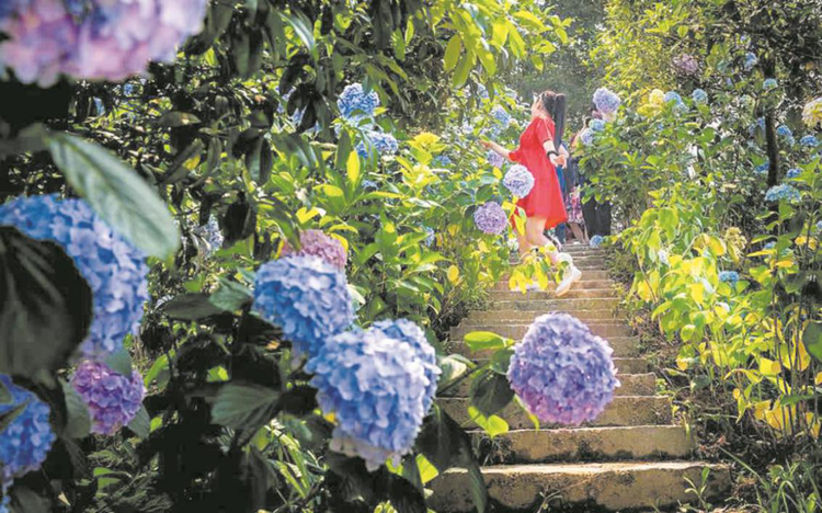 【有修改】【B】重庆巴南区“醉美是家乡”文旅推介活动带动文旅产业“火”起来