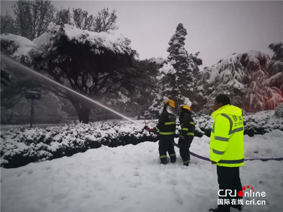 (江苏网络媒体新春走基层专题 图片故事)钟山风景区值守人员雪夜坚守保护古树活化石 (江苏网络媒体新春走基层专题 图片故事)钟山风景区值守人员雪夜坚守保护古树活化石