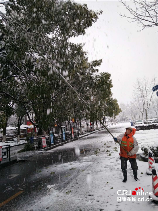 (江苏网络媒体新春走基层专题 图片故事)钟山风景区值守人员雪夜坚守保护古树活化石 (江苏网络媒体新春走基层专题 图片故事)钟山风景区值守人员雪夜坚守保护古树活化石