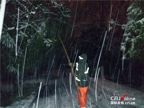 (江苏网络媒体新春走基层专题 图片故事)钟山风景区值守人员雪夜坚守保护古树活化石 (江苏网络媒体新春走基层专题 图片故事)钟山风景区值守人员雪夜坚守保护古树活化石