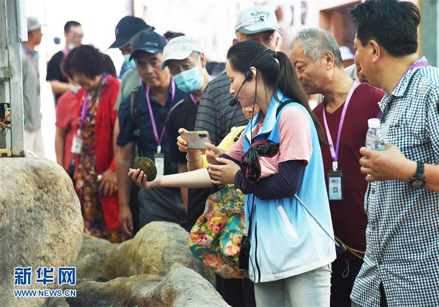 山东荣成：海洋牧场迎来夏季旅游热
