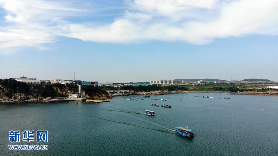 山东荣成：海洋牧场迎来夏季旅游热