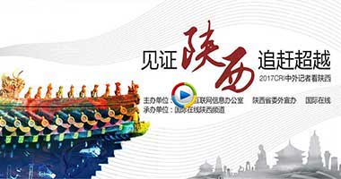 见证陕西 追赶超越