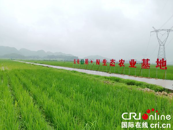 图片默认标题_fororder_66