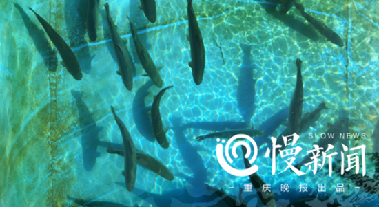 图片默认标题_fororder_djy7_副本