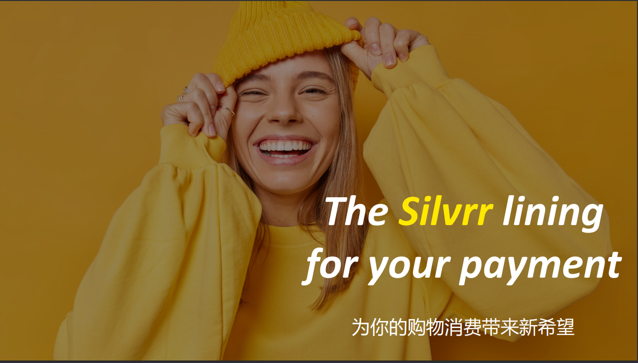 欧洲跨境电商市场 迎来BNPL出海新玩家丨Silvrr